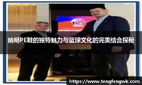 姚明PE鞋的独特魅力与篮球文化的完美结合探秘