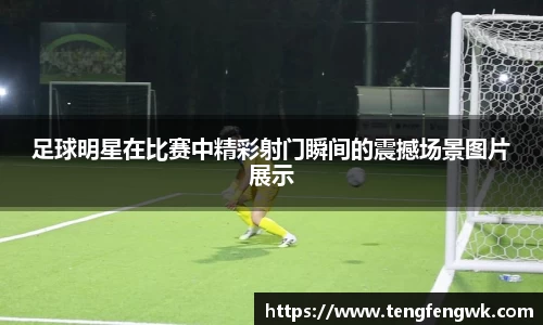 8866体育官方网站